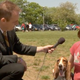 Image for article titled Basset hound aficionados Julie Klausner and Ted Leo go the dogs at Howlabaloo